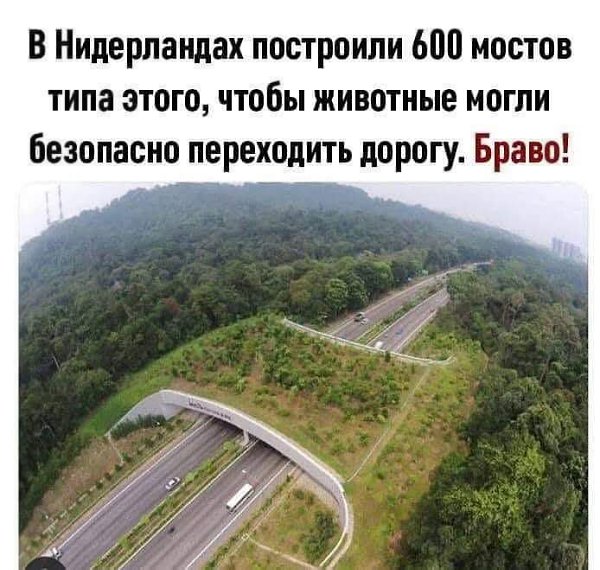 :)