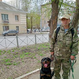 ���������, �����, 44 ����