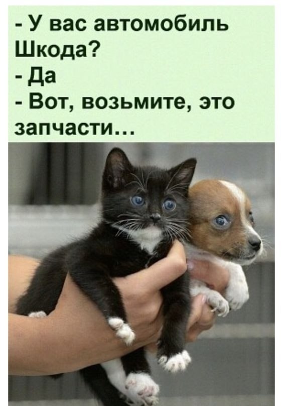  , .     ,    !
