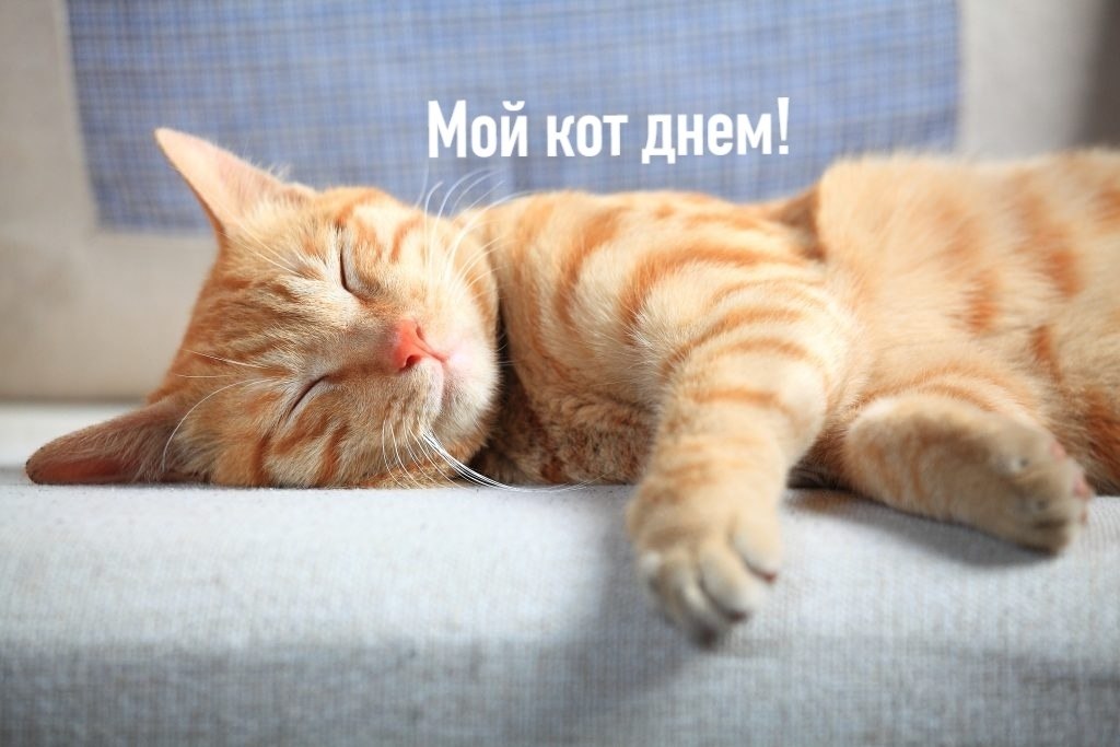 ��� ���� � ����� �� �� - 12 ��� 2026 � 11:25 - 2