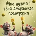 ���� ������� !, ������ - ��������� 30 ���� 2026 � ������ ������ ��������