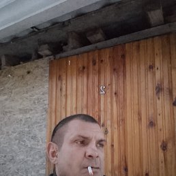 ��������, 49 ���, ������