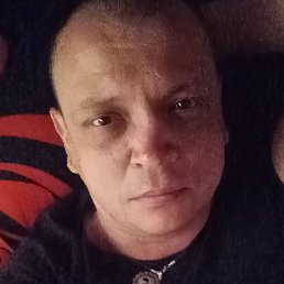 Veles 7491, ������, 42 ����