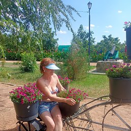 ���� ������, ���������, 55 ��� - ��������� 18 �������� 2024