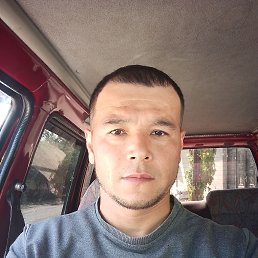 , 37, 
