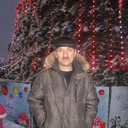 , 55 , 