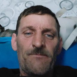 ����, ������ ��������, 47 ���