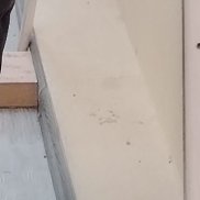 ��������, 49 ���, �����������