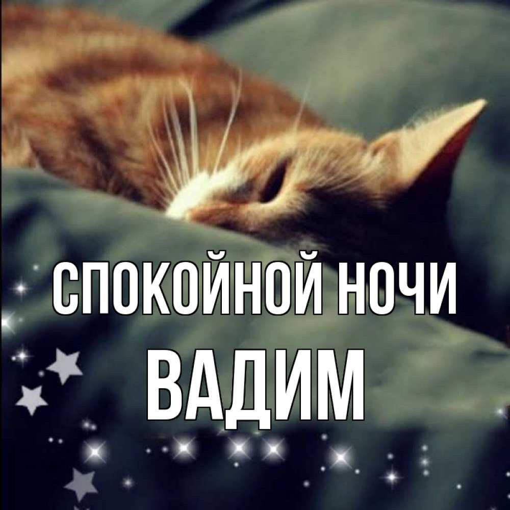 :)    .  )))