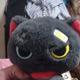 ���� ������, ������, 45 ��� - ��������� 17 ����� 2026