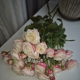 , , 19 