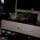 ���� �������, ������� - ��������� 20 ������� 2023 � ������ ����