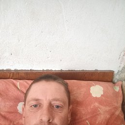  , 37, 