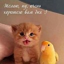 ���� Gala, ������, 43 ���� - ��������� 7 ������ 2024 � ������ ���� ����������
