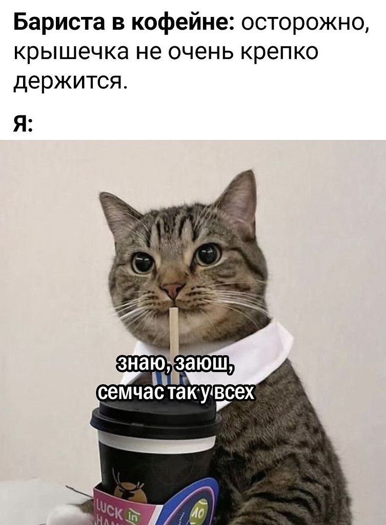 ���� ������ �������, � �� ��� �� ������ ��������? ��� �� � ����, ������ �������� ������ � ...