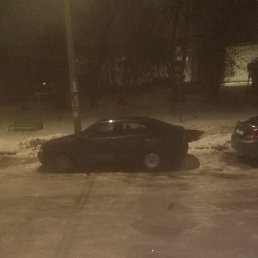 ���� ˸��, ���, 42 ���� - ��������� 28 ������� 2023