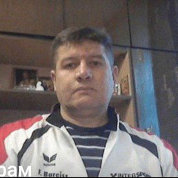 , 53, 