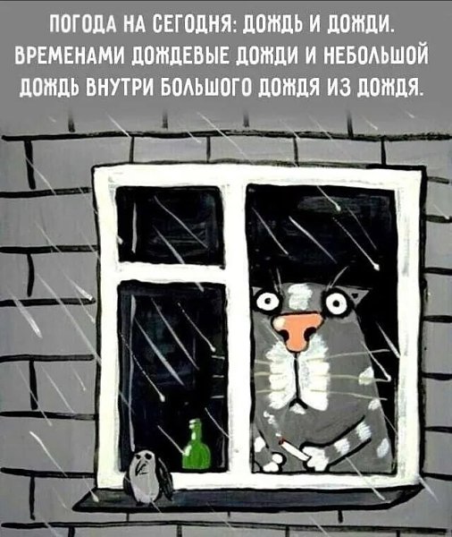  - 6  2025  15:30