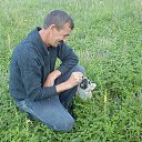 ���� �������, ������ ��������, 62 ���� - ��������� 15 ������� 2026 � ������ ���� ����������