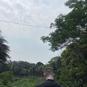 ���� ����, ������, 29 ��� - ��������� 8 ���� 2026 � ������ ���� ����������