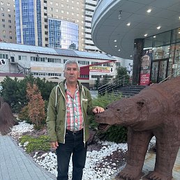 �������, 65 ���, ������