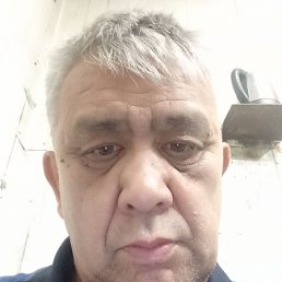  , 51, 