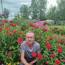 �������, 61 ���, ������