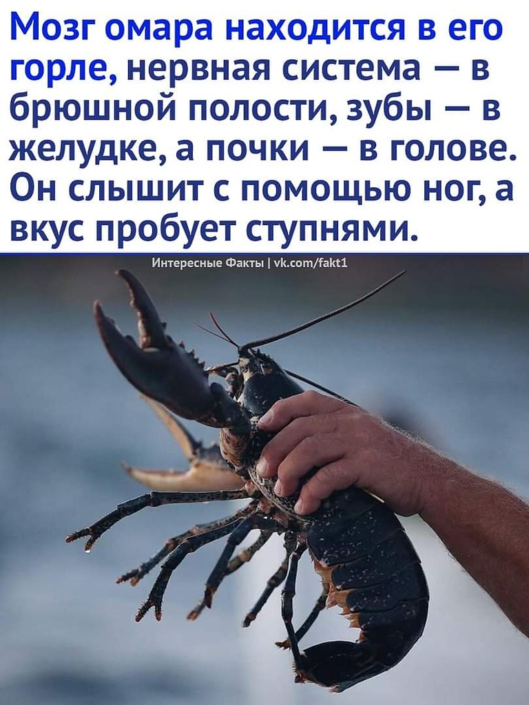 :)
