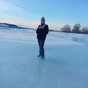 ���� ��������, ����, 33 ���� - ��������� 8 ������ 2026 � ������ ���� ����������