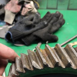 ���� ����, ������, 56 ��� - ��������� 4 ������� 2023