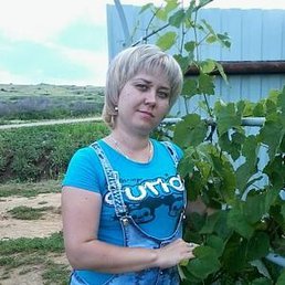 ������, ��������, 38 ���