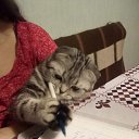 ���� ��������, ������� - ��������� 12 ������ 2025 � ������ ������ ��������