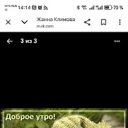 �����, 19 ���, ���������