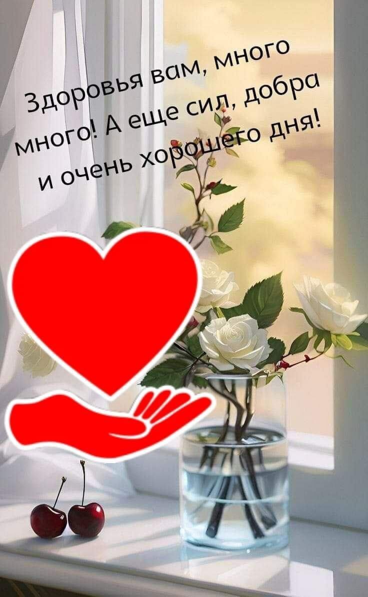  - 23  2024  14:55