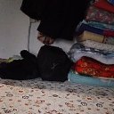 ���� ������, ������, 38 ��� - ��������� 17 ������ 2024