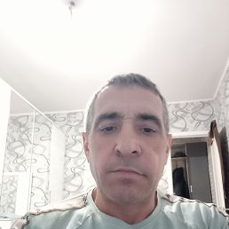 , 52, 