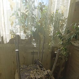 Spravedlivyj, �������, 44 ����