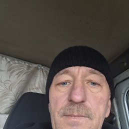 ����, 56 ���, ������