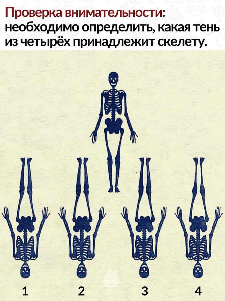      ,    .