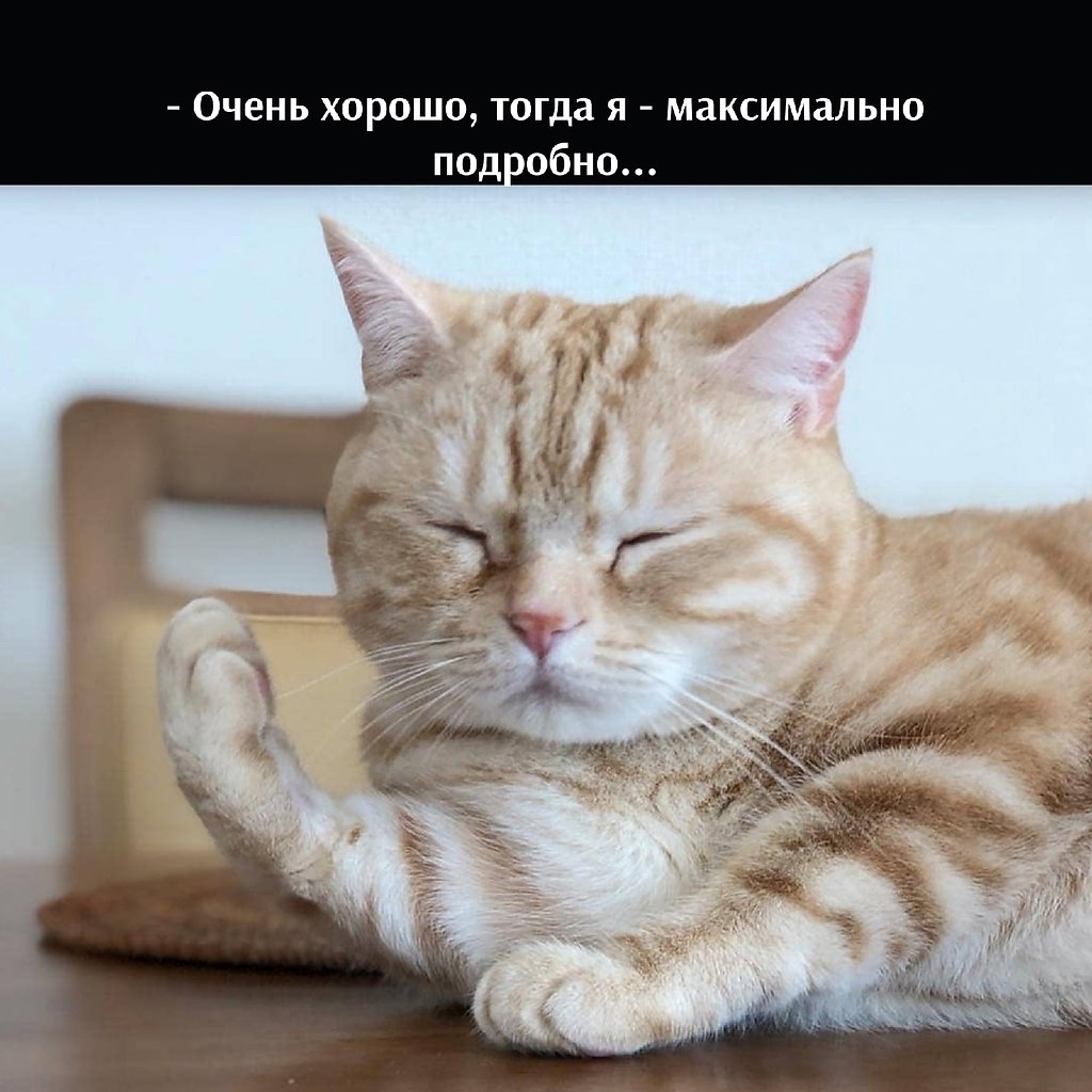       - 4  2025  21:54 - 3