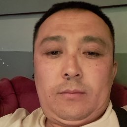 ������, �������������-����������, 40 ���