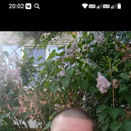 , 41 , 