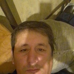 , 41, 