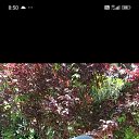 ���� ���������, �����-���������, 48 ��� - ��������� 2 ������ 2026