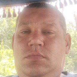 ���������, ������, 38 ���