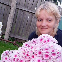 , 45, 