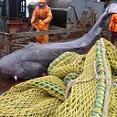 ������������ �����