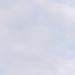 ����, �������, 55 ���