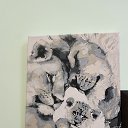 ���� �����, �����, 48 ��� - ��������� 3 ���� 2024 � ������ ���� ����������