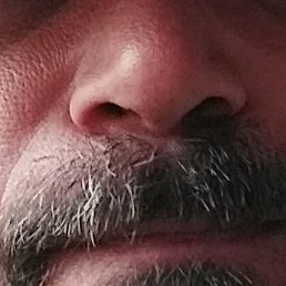 �����, ���������, 43 ����